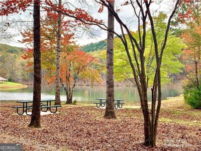 480 Marque Lane NE, Ranger GA 30734