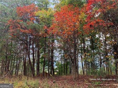 1088 Mayfield Lane NE, Ranger GA 30734