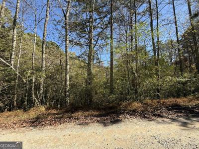 Lot 68 Heritage Way, Ellijay GA 30540