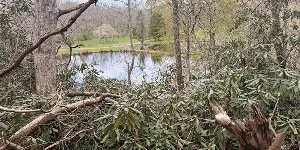 #9 Mill Creek Hollow, Hayesville NC 28904