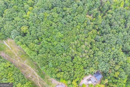 349 Turner Ridge Drive, Cleveland GA 30528
