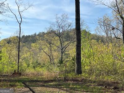 Stone Pile Gap Road, Ellijay GA 30540
