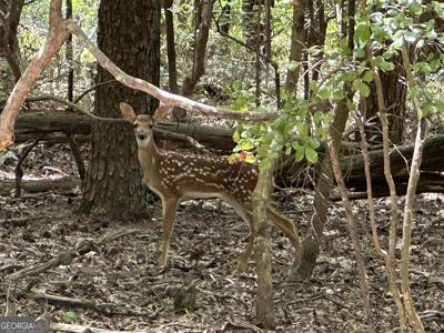 Lot 297 Oak Trace E, Jasper GA 30143