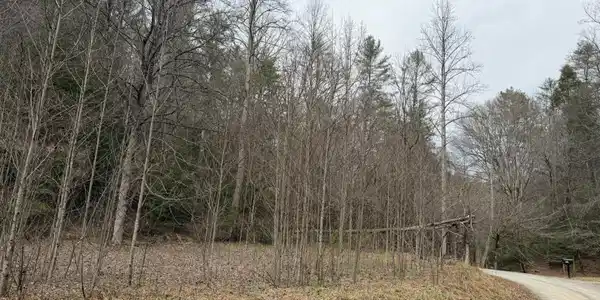 3.1 ACRE Maple Rest Lane # 7, Ellijay GA 30540