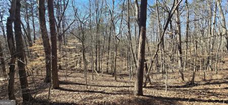 TRACT 2 Friendship Trail, Talking Rock GA 30175