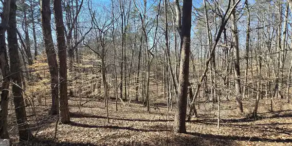 TRACT 2 Friendship Trail, Talking Rock GA 30175