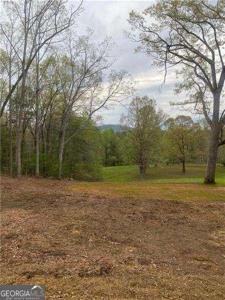 Lot 225 Hilltop Lane, Clarkesville GA 30523