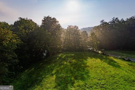 228 Holly Branch Drive, Ellijay GA 30536