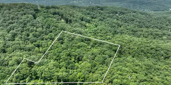 7.89 AC Laurel Springs Road, Mineral Bluff GA 30559