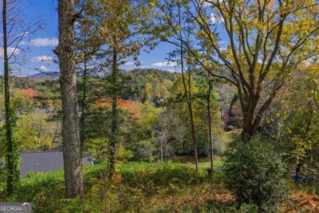 Hill Street, East Ellijay GA 30540