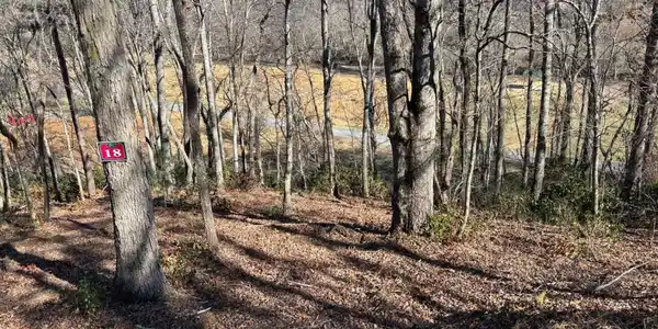 Lot 18 Brasstown Trails, Warne NC 28909