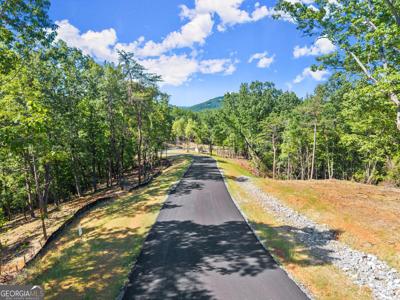 188 Chimney Oaks Trail, Cleveland GA 30528