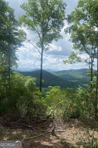 2 Oasis Lane, Blue Ridge GA 30513