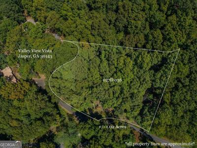 Lot 550 Valley View Vista, Jasper GA 30143