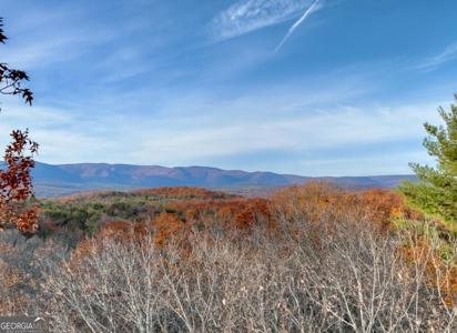 Lot 11 Creek Camp Road, Ellijay GA 30536