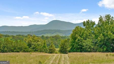 1800 Hwy 286, Chatsworth GA 30705