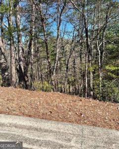 Lot 143 Rosen Strasse, Helen GA 30545