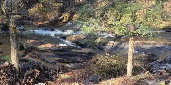 Dell Moore Road, Marble Hill GA 30148