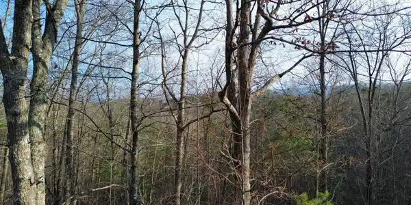TRACT 2 Century Lane, Blue Ridge GA 30513