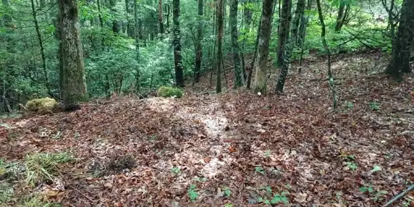 Lot 3 Jiminy Peak, Sky Valley GA 30537