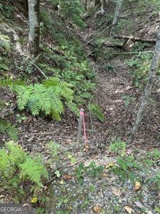 TRACT A Fielder Road, Ellijay GA 30536