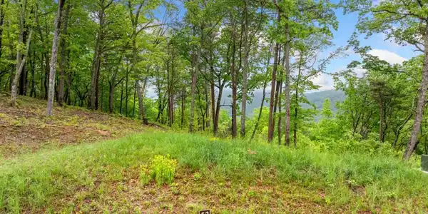 Lot 53 High Summit Drive, Talking Rock GA 30175