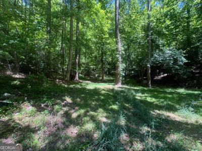 Lot 11 Bible Baptist, Ellijay GA 30536