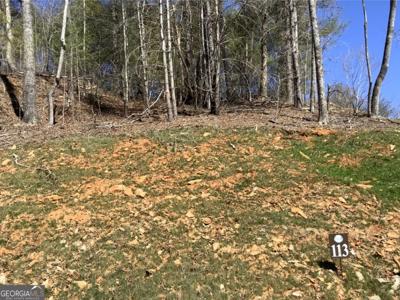 113 High River Crossing, Ellijay GA 30540
