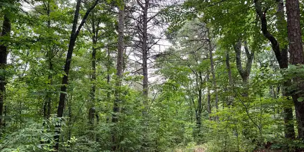 198 Log Round Mountain Trail, Ellijay GA 30540