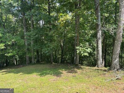 LT 19 Bitter Creek Road, Blairsville GA 30512
