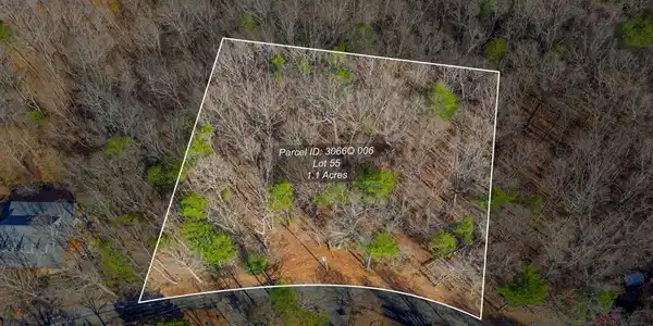 55 Spruce Drive # 55, Ellijay GA 30540