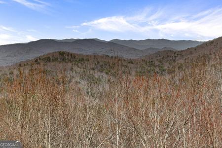 TRACT 3 Old Mill, Mineral Bluff GA 30559