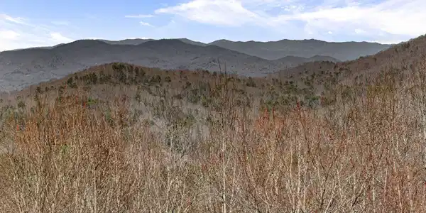 TRACT 3 Old Mill, Mineral Bluff GA 30559