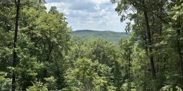 Lot 314 Pebble Trace # 314, Talking Rock GA 30175