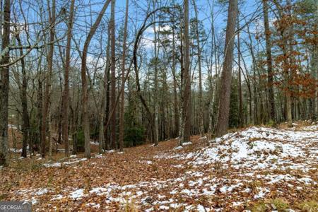 Lot 5 Curtis Ridge Road # 5, Blue Ridge GA 30513
