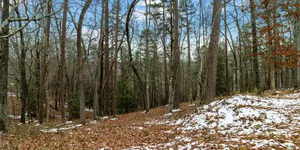Lot 5 Curtis Ridge Road # 5, Blue Ridge GA 30513