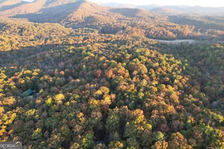 LT 51, 53 Squirrel Hunting Road, Ellijay GA 30536