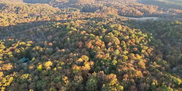 LT 51, 53 Squirrel Hunting Road, Ellijay GA 30536
