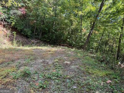 Burnt Leaf Lane, Hayesville NC 28904