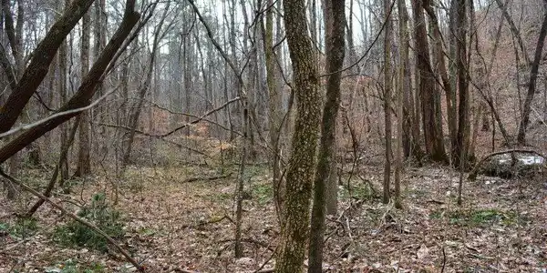 Willow Springs Road, Dallas GA 30132