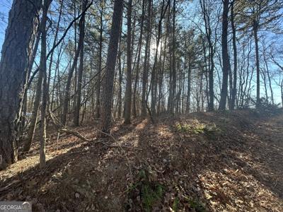 Highland Tree Court, Ranger GA 30734