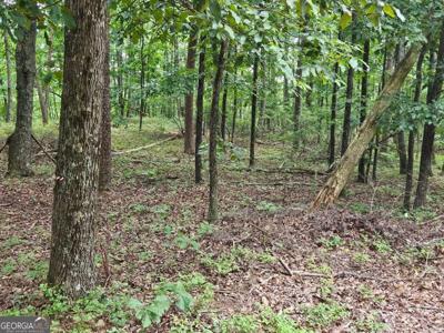 1467 Hanna Drive, Ranger GA 30734