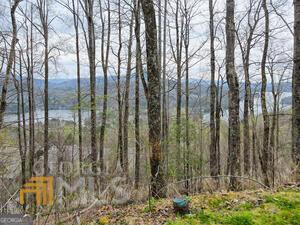 L-7 High Pointe Drive, Clayton GA 30525