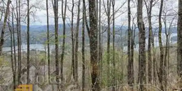 L-7 High Pointe Drive, Clayton GA 30525
