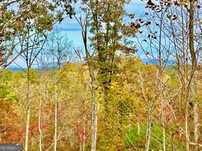 117 Ridge Wood Trail
