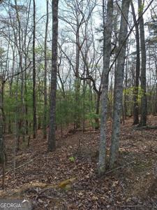 Mull Lane Circle, Morganton GA 30560