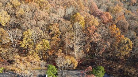 Lot 63 Mountainside Drive, Cleveland GA 30528