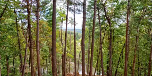 LT 102R Ponca Court # 102R, Ellijay GA 30540