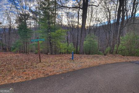 LT M57 Walnut Mountain Court, Ellijay GA 30536