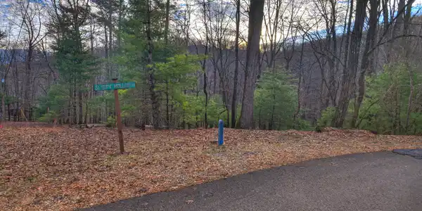 LT M57 Walnut Mountain Court, Ellijay GA 30536